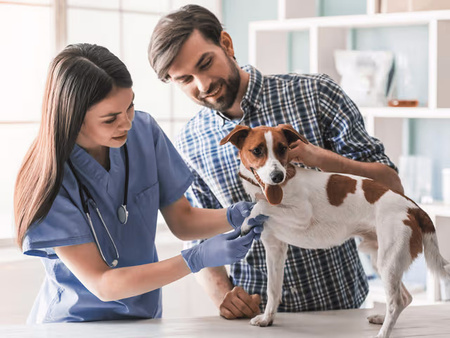 Autoklaw SteriHero Vet 23